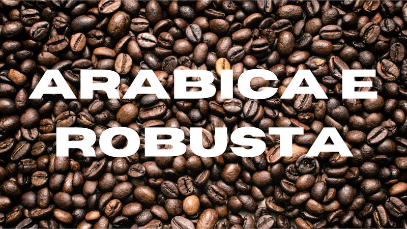 Caffe - Arabica e Robusta