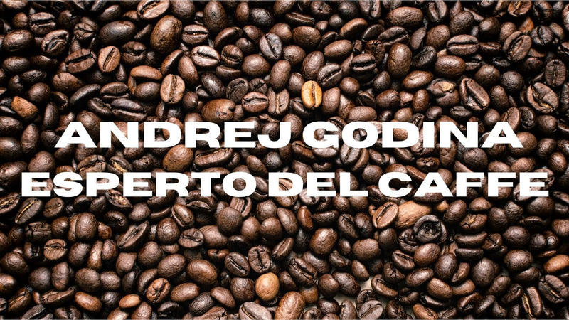 Chi è Andrej Godina ?