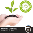 CIALDA CAFFE' CONDORE' CREMOSO BOX 50-150 PZ